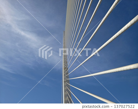 Bridge cables stretch upward dynamically, Cables positioned over bridge ascend with energetic motion 137027522