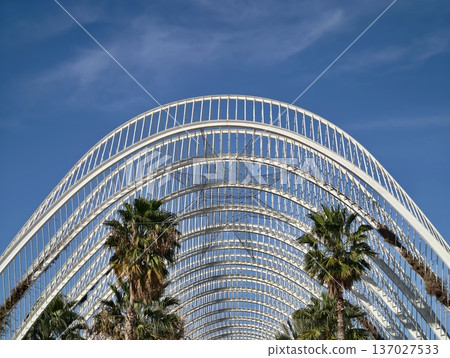 Open arched structure framing palm shadows against vibrant blue sky with relaxed outdoor ambiance Open arched structure framing palm shadows against vibrant blue sky with relaxed outdoor ambiance 137027533