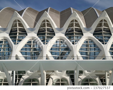 White facade rhythm, Architectural design featuring repeated vaults and dynamic lighting effects White facade rhythm, Architectural design featuring repeated vaults and dynamic lighting effects 137027537