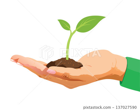 Hand is gently holding rich soil with a young plant sprouting Hand is gently holding rich soil with a young plant sprouting 137027590