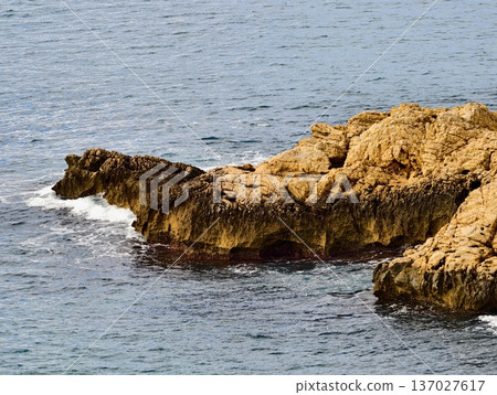 Rocky seaside scenery, Serene coastal rocks with sunlight, Peaceful seashore with rugged outcrops and waves 137027617