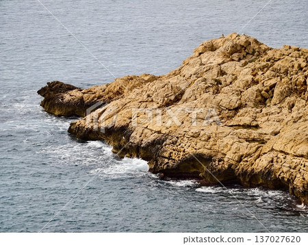 Serene coastal geological formation, Ancient reef extending into subdued waters with textured rocks Serene coastal geological formation, Ancient reef extending into subdued waters with textured rocks 137027620