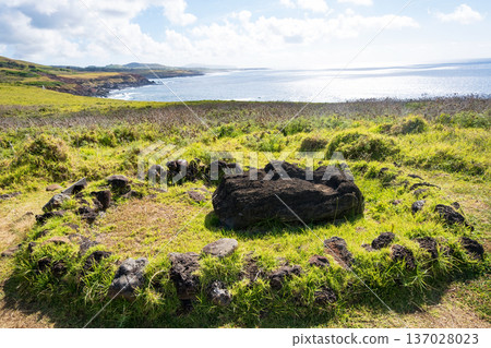 Ahu Vinapu Moai statue with only its face exposed, coastal scenery, Easter Island Ahu Vinapu Moai statue with only its face exposed, coastal scenery, Easter Island 137028023