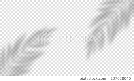 Silhouette of palm leaf shadow overlay isolated on transparent background, tropical natural light effect for photo overlays, branding, posters, social media, packaging, and modern graphic design 137028040