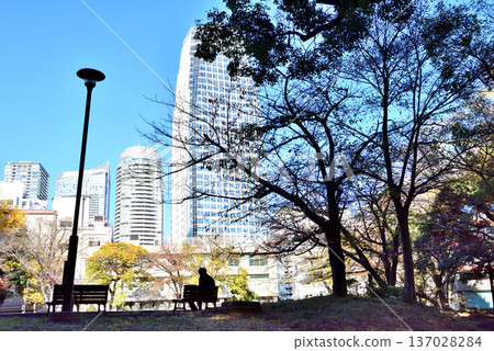 芝公園集會廣場長椅上坐著的男子的剪影 芝公園集會廣場長椅上坐著的男子的剪影 137028284