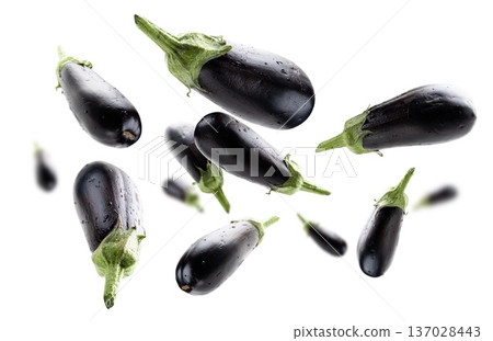 Ripe eggplants levitate on a white background Ripe eggplants levitate on a white background 137028443