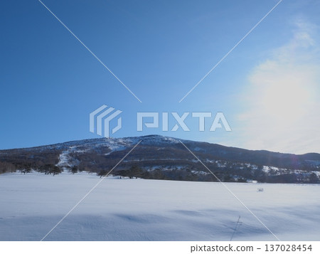 A sunny morning on the plateau (afli20260220080848) A sunny morning on the plateau (afli20260220080848) 137028454