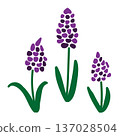 簡單的春季紫色花朵插圖：風信子薰衣草 137028504