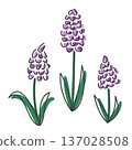 一組描繪薰衣草、風信子等春季花卉的線條畫草圖。 137028508