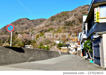岩路海灘地區（靜岡縣松崎町）[2026年2月] 137028635
