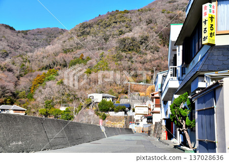 岩路海灘地區（靜岡縣松崎町）[2026年2月] 137028636