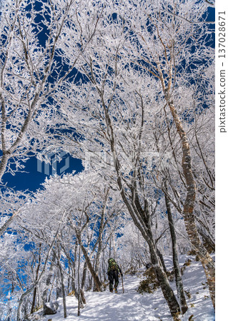 在覆蓋著霜雪的赤城黑刃山進行雪地健行 137028671