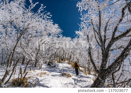 在覆蓋著霜雪的赤城黑刃山進行雪地健行 在覆蓋著霜雪的赤城黑刃山進行雪地健行 137028677
