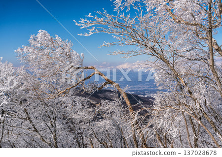 在覆蓋著霜雪的赤城黑刃山進行雪地健行 在覆蓋著霜雪的赤城黑刃山進行雪地健行 137028678