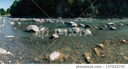 Clear Mountain River with Stones and Shallow Water 137028742