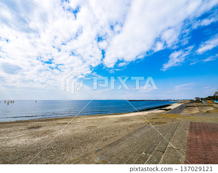 美麗的海岸風光 137029121