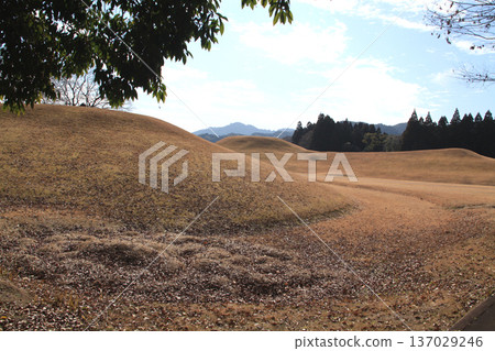 這是位於熊本縣山賀市的岩原古墓群，該古墓群是國家指定的歷史遺跡。 137029246