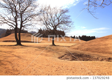 這是位於熊本縣山賀市的岩原古墓群，該古墓群是國家指定的歷史遺跡。 137029248