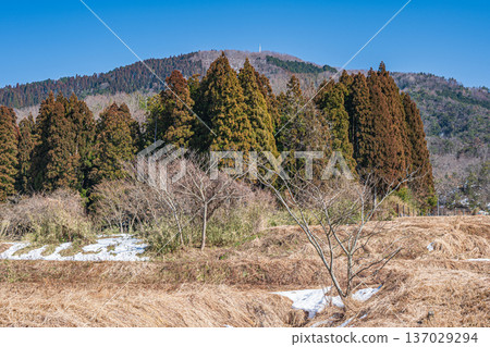 Satoyama scenery of Lake Biwa in the back of the mountains, Nagahara, Nagahama City, Shiga Prefecture 137029294