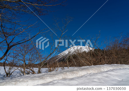 鳥取縣大山白雪皚皚 鳥取縣大山白雪皚皚 137030030