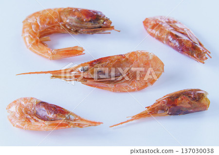 Sweet shrimp dried in the cold wind Sweet shrimp dried in the cold wind 137030038