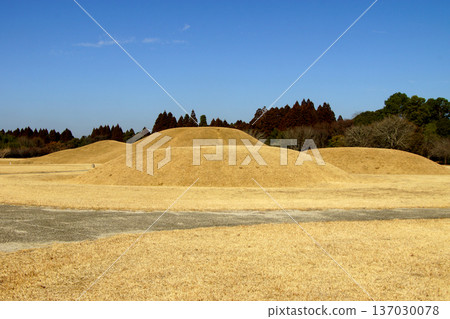 這是位於熊本縣山賀市的岩原古墓群,該古墓群是國家指定的歷史遺跡。 這是位於熊本縣山賀市的岩原古墓群,該古墓群是國家指定的歷史遺跡。 137030078