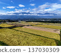 Rural landscape and the Southern Alps at harvest time 137030309