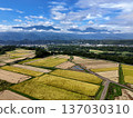 Rural landscape and the Southern Alps at harvest time 137030310