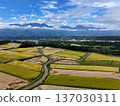 Rural landscape and the Southern Alps at harvest time 137030311