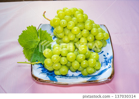 閃耀馬斯喀特 137030314