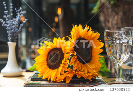Close-up, a bouquet of sunflowers in a cafe on the table. Close-up, a bouquet of sunflowers in a cafe on the table. 137030553