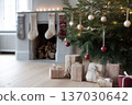 Holiday presents beneath decorated tree, Wrapped gifts and cozy holiday preparations scene, Seasonal anticipation with wrapped packages and festive decorations arranged 137030642