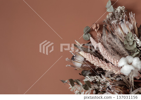 Composition with dry wildflowers and cotton copy space. 137031156