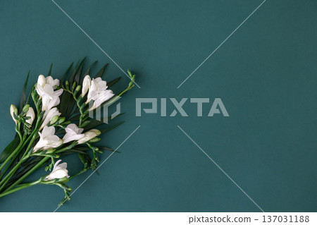 Bouquet of white exotic flowers on a dark blue background. 137031188