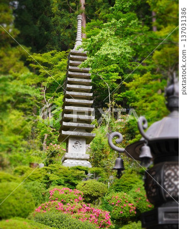 A tower surrounded by fresh greenery 137031386