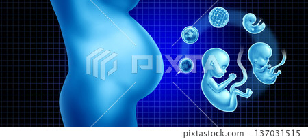 Pregnancy Growth Pregnancy Growth 137031515