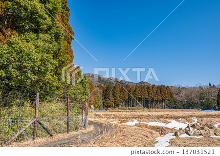 Coniferous forests of Lake Biwa in the Oku area, Nagahara, Nagahama City, Shiga Prefecture Coniferous forests of Lake Biwa in the Oku area, Nagahara, Nagahama City, Shiga Prefecture 137031521