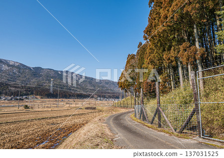 琵琶湖背靠著山巒的鄉村景色,位於滋賀縣長濱市長原町。 琵琶湖背靠著山巒的鄉村景色,位於滋賀縣長濱市長原町。 137031525