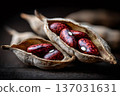 Haricots rouges speckled beans inside natural pods 137031631