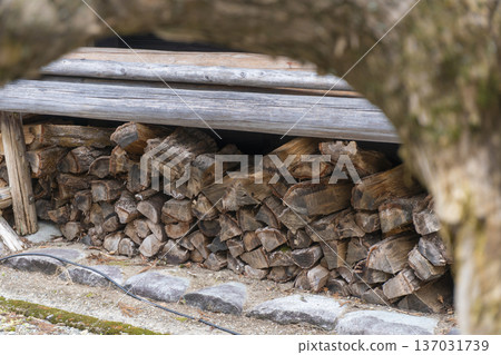 Firewood 137031739