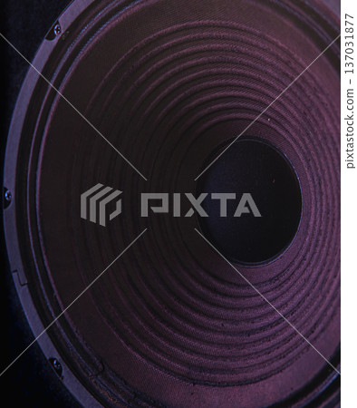 Close-up of speaker membrane on black background. Close-up of speaker membrane on black background. 137031877