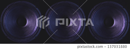 Close-up of speakers membrane on black background with colored lighting. Close-up of speakers membrane on black background with colored lighting. 137031880