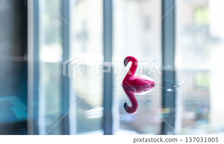 Close-up, toy flamingo in the pool on a blurred background. Close-up, toy flamingo in the pool on a blurred background. 137031905