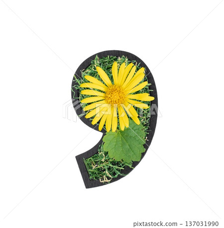Comma made of yellow flower and natural green grass isolated. Comma made of yellow flower and natural green grass isolated. 137031990