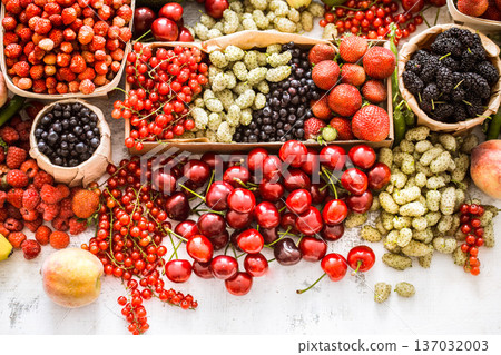 composition of different fruits 137032003