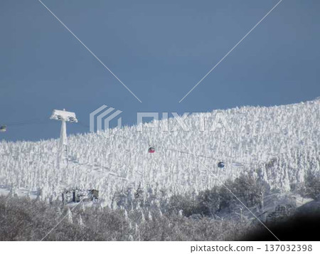 Rime on trees, hoarfrost, Zao 137032398