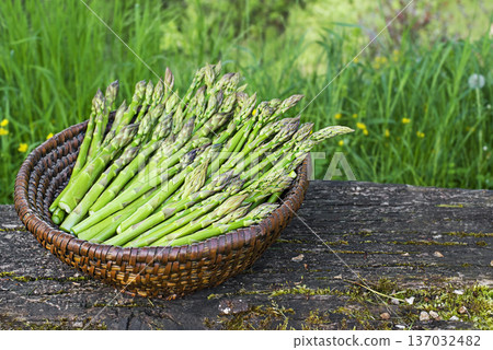 Asparagus Asparagus 137032482