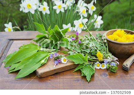 Spring plants and herbs Spring plants and herbs 137032509
