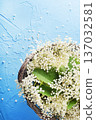 Elderflower 137032581