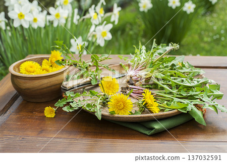 Dandelion leaves Dandelion leaves 137032591